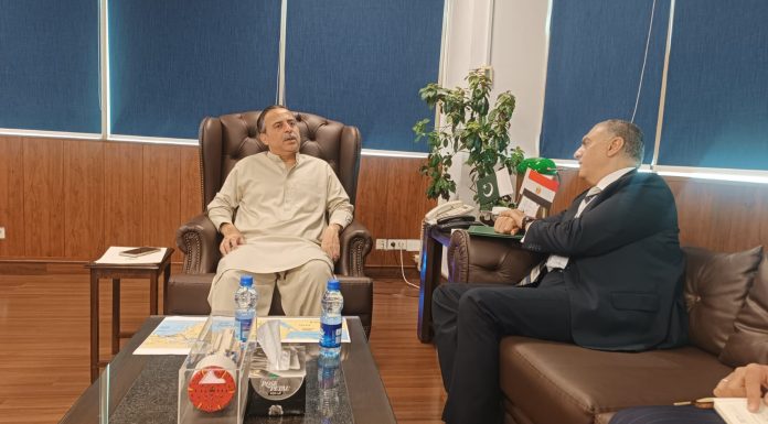 Pakistan eyes stronger maritime links with Egypt to enhance regional trade: Minister