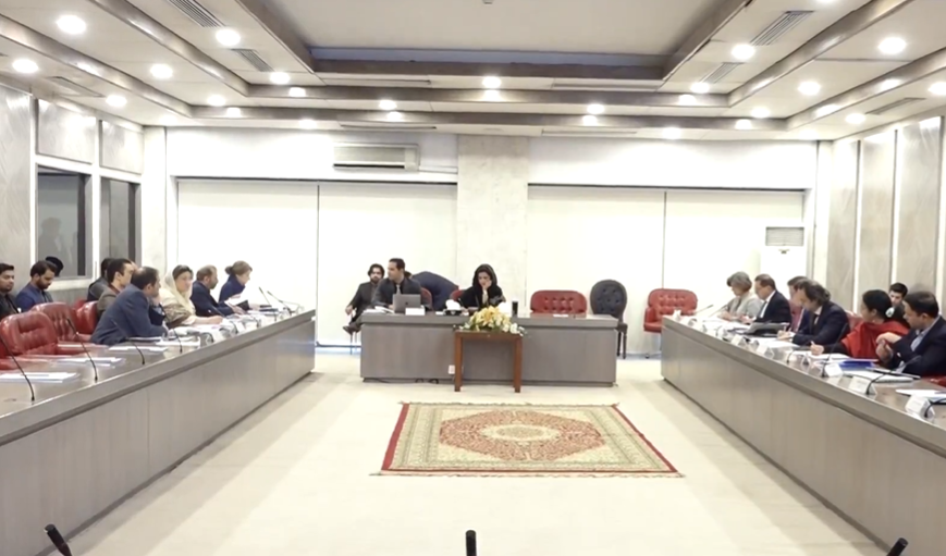 NA panel reviews Pakistan’s overseas missions, lauds Pakistan’s diplomacy