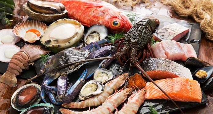 Pakistan’s Seafood exports to China surge by 24% in 2025