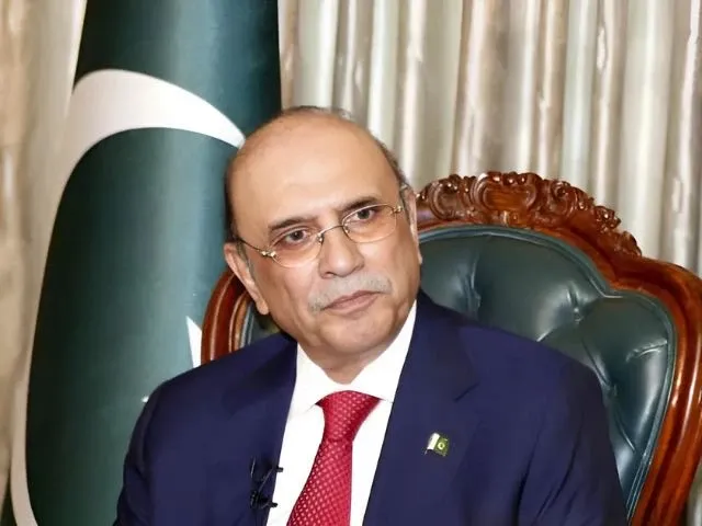 President Zardari Calls for Expedited Implementation of Sindh-China Economic Projects