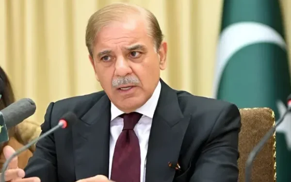 PM reaffirms Pakistan's commitment to reforms, sets up high-level committee
