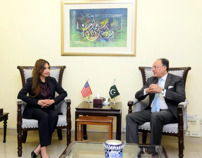 US Charge d'Affaires Discusses Economic Cooperation With Finance Minister Aurangzeb