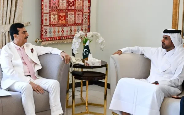 Chairman Senate Gilani Calls for Deepened Trade Ties with Qatar (Image 1)
