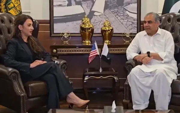 Interior Minister Mohsin Naqvi Discusses Regional Stability with US Ambassador