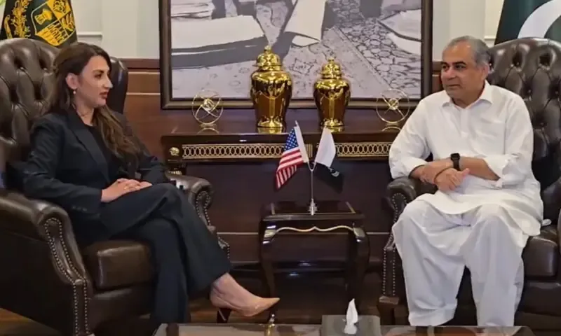 Interior Minister Mohsin Naqvi Discusses Regional Stability with US Ambassador